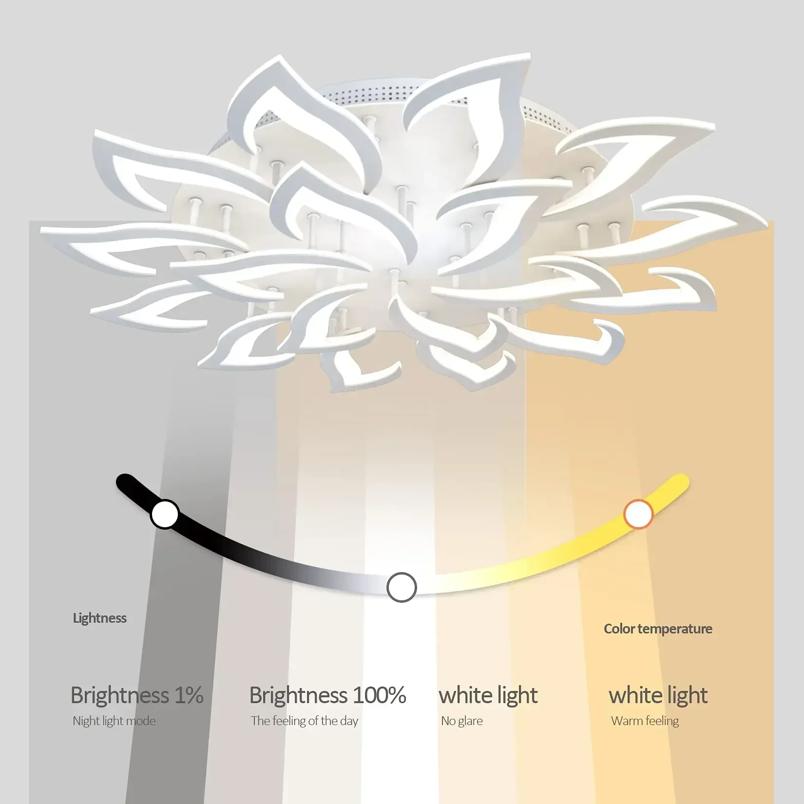 Plafonnier LED en Forme de Pét - Interior Design Remote avis et prix